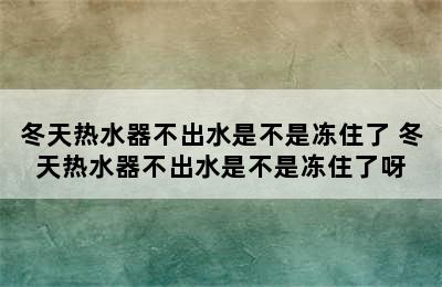 冬天热水器不出水是不是冻住了 冬天热水器不出水是不是冻住了呀